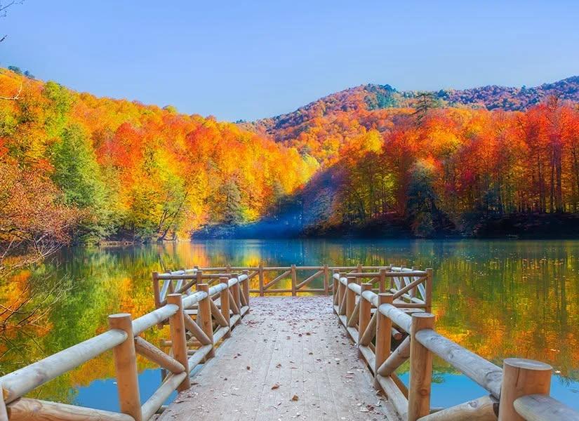 MİLLİ PARKLARI ÖZELLEŞECEK Mİ?