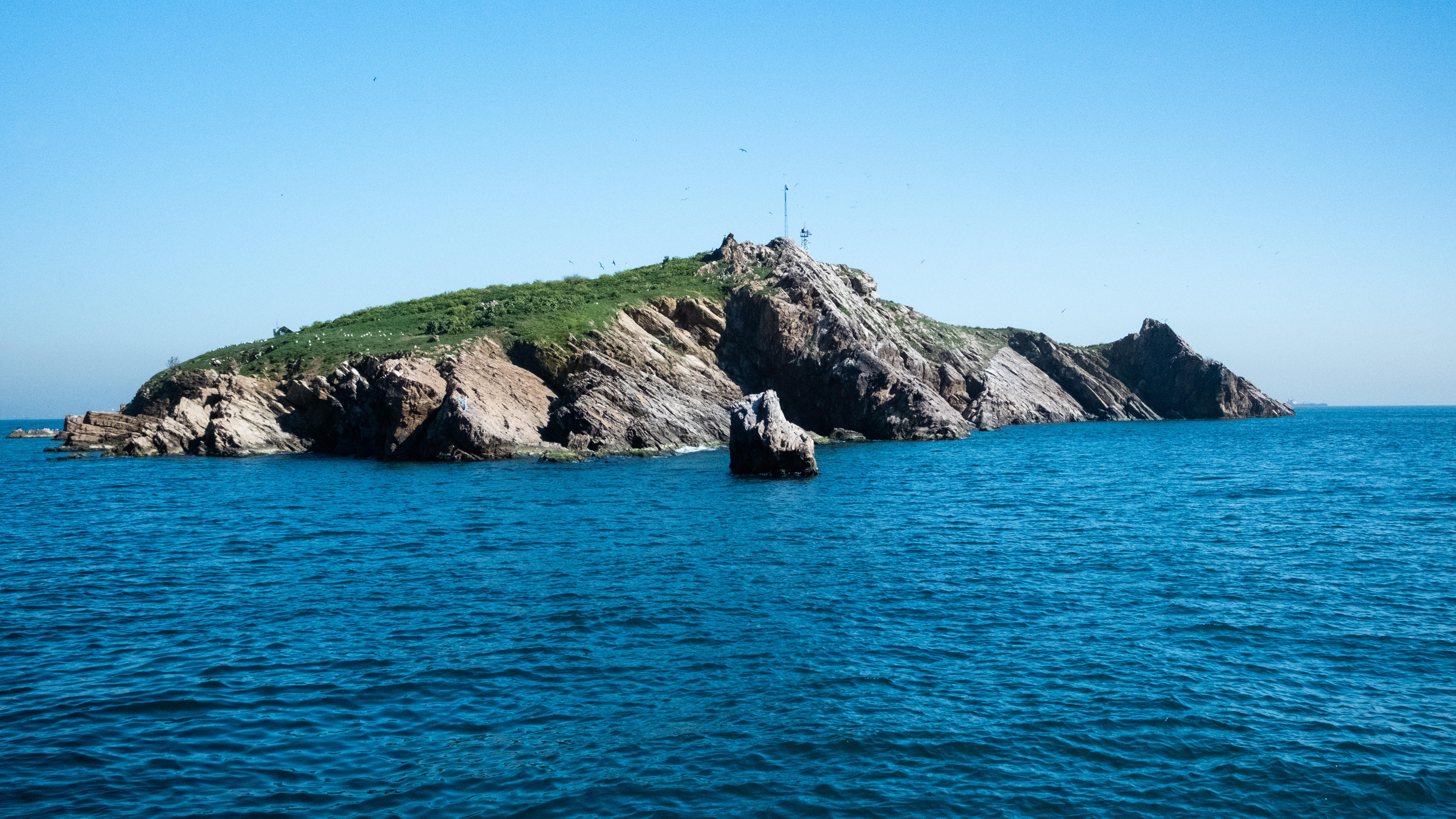 “TAVŞAN ADASI AV DEĞİL, YAŞAM ALANI OLSUN!” 