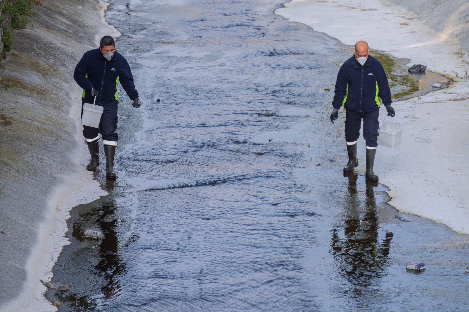 “MEVSİMSEL SİNEKLER ZARARSIZDIR”