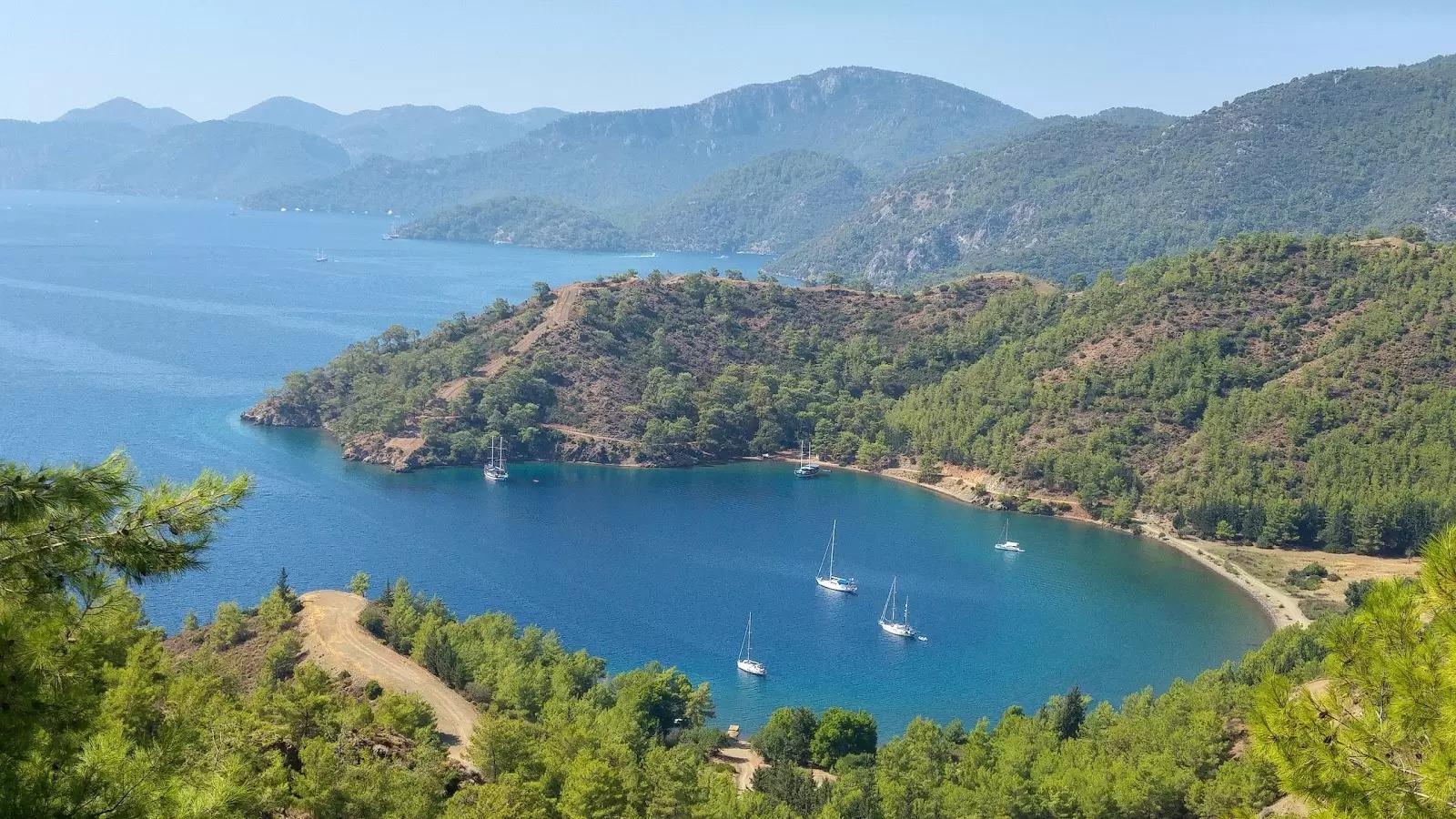 CENNET KOYDA MARİNA İSYANI