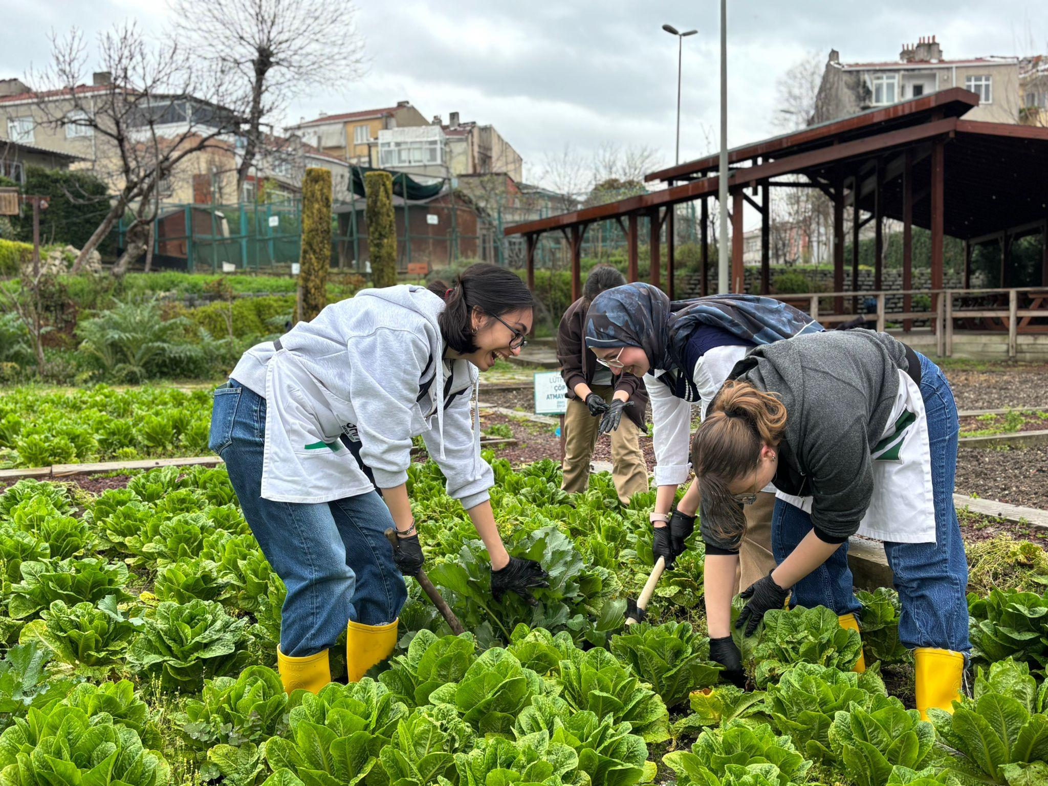 ŞEHRİN GÖBEĞİNDE BAHÇIVANLIK ATÖLYESİ