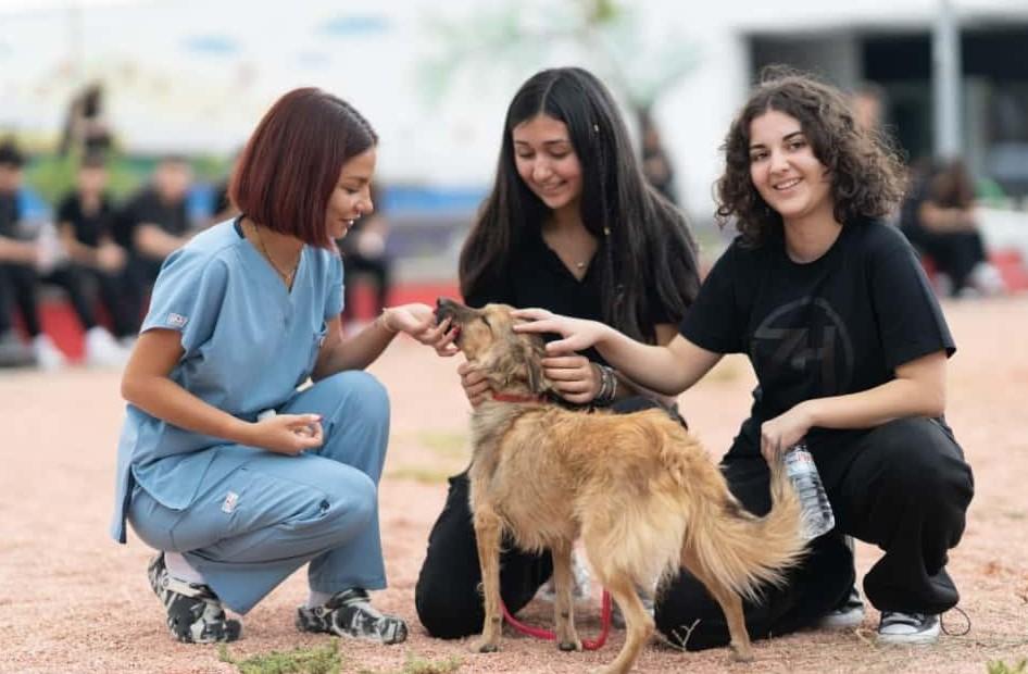 ÜÇ BİNİN ÜZERİNDE HAYVAN SAHİPLENDİRİLDİ