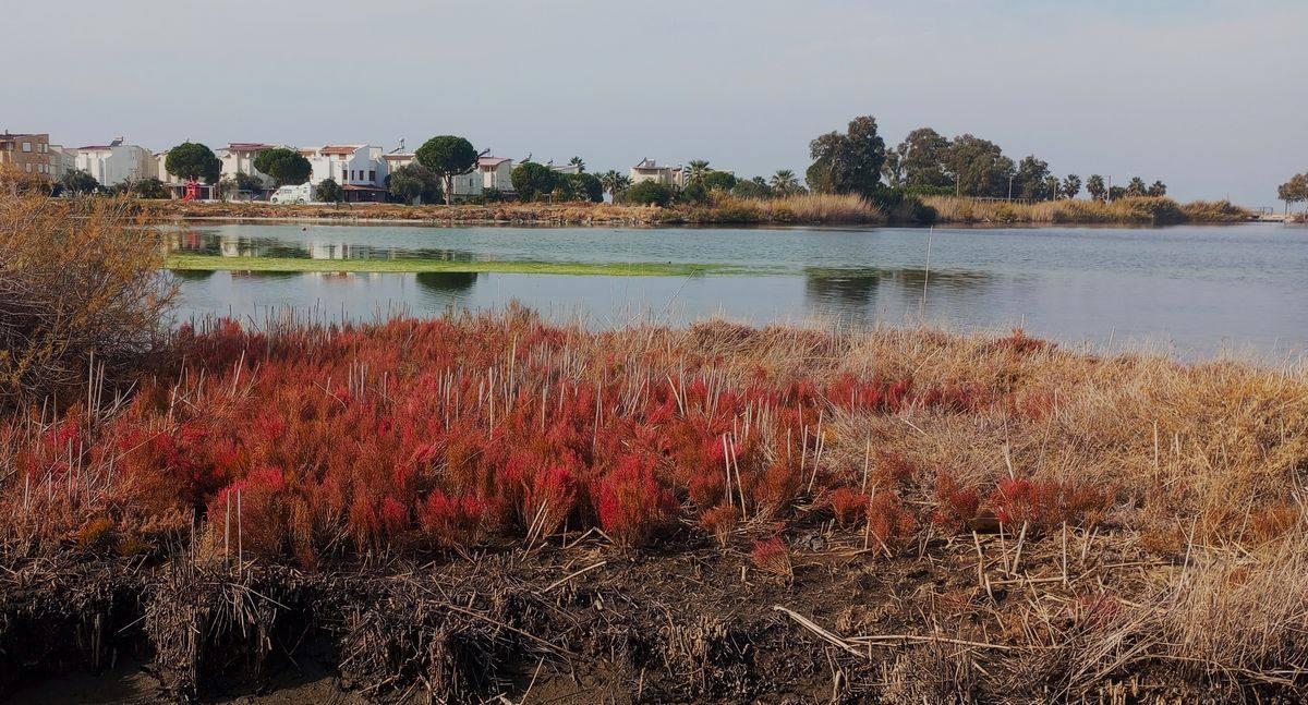KOCAGÖL İÇİN KURTULUŞ UMUDU