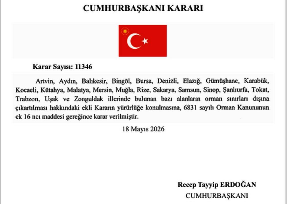 BİR İMZA İLE  ORMAN DIŞINA ÇIKARILDILAR