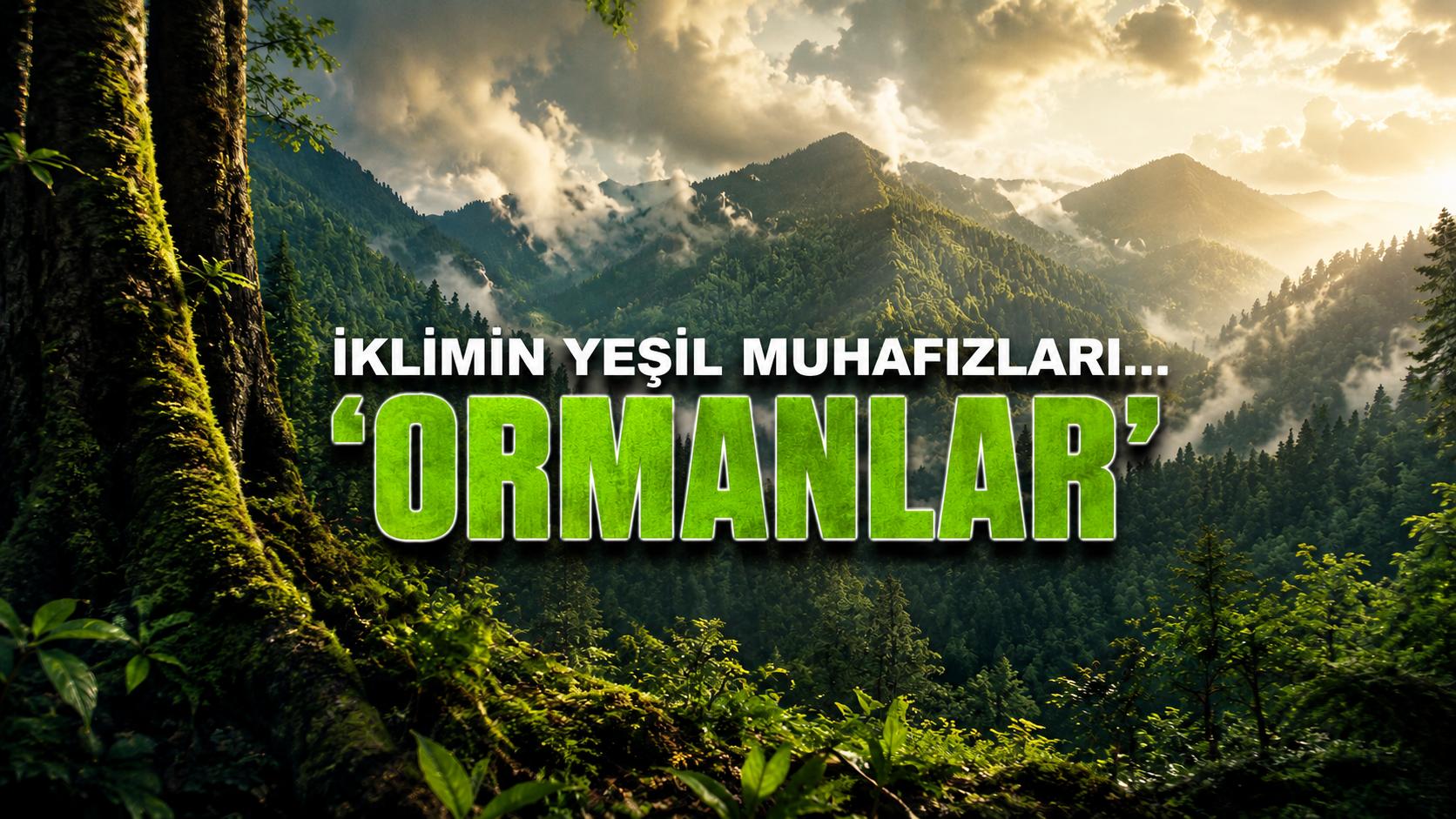 ORMANLARIN KAYBI YOK OLUŞ DEMEK