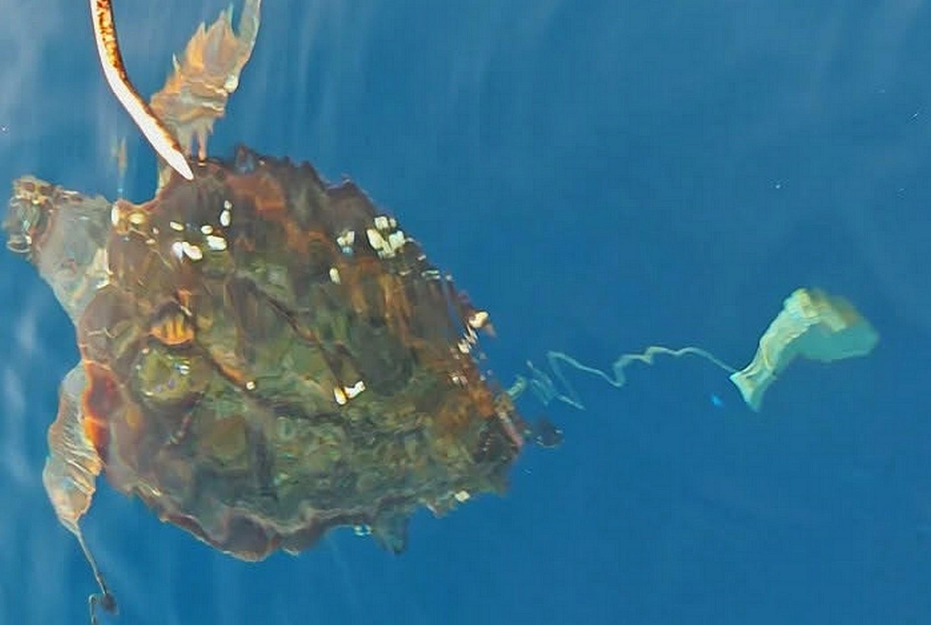 CARETTA CARETTA'YA BÜYÜK KÖTÜLÜK