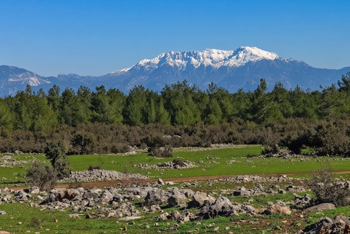 YARGI KARARI PLANLARINI ALT ÜST ETTİ