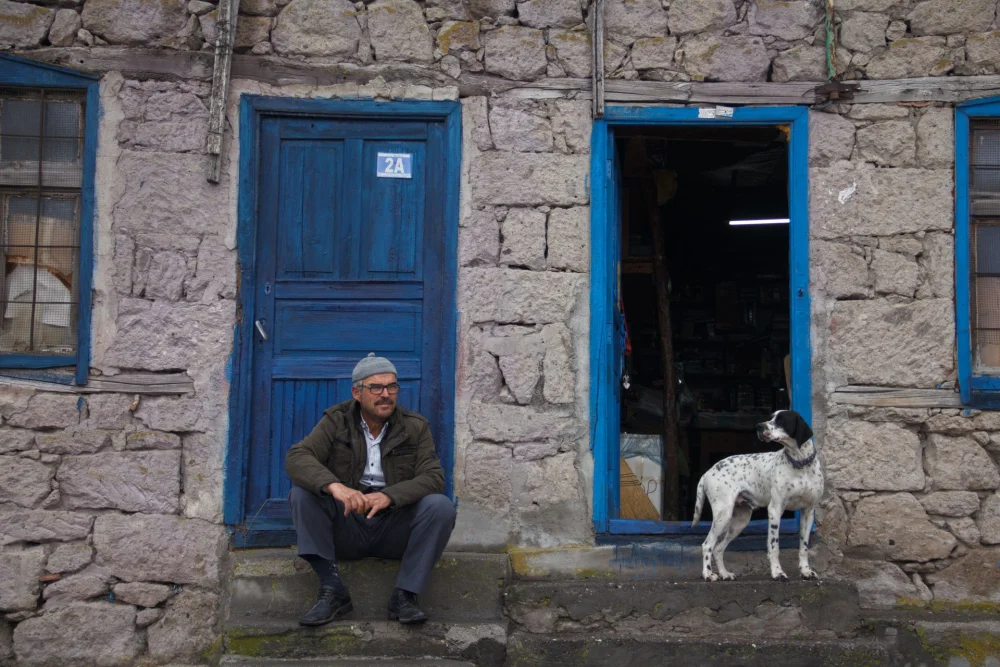 BİNLERCE YILDIR İNSANLARIN EN SADIK DOSTLARI: KÖPEKLER
